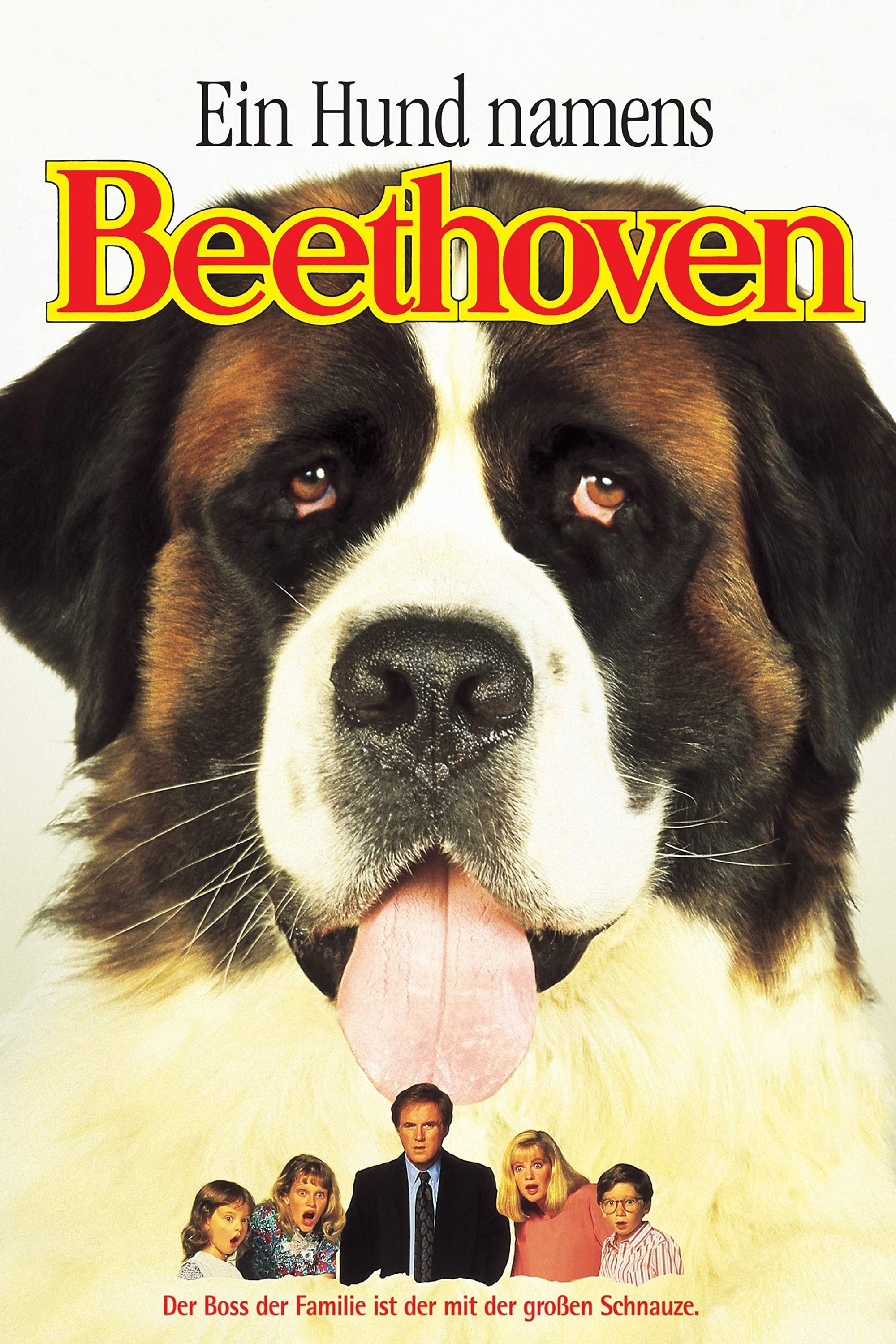  Ein Hund namens Beethoven 