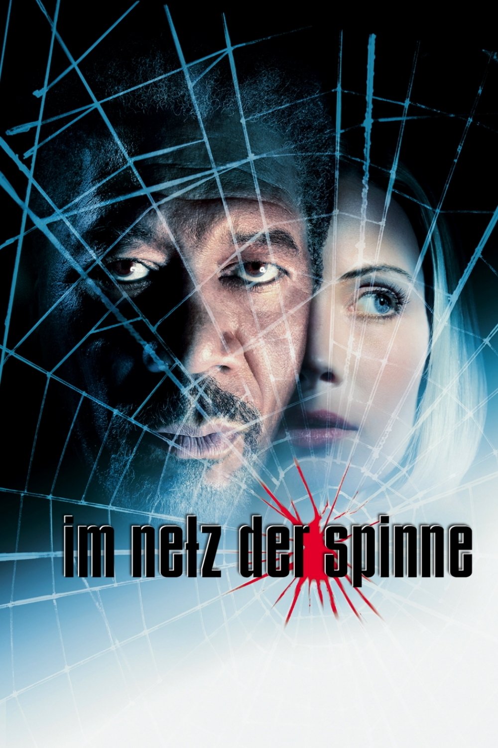  Im Netz der Spinne 