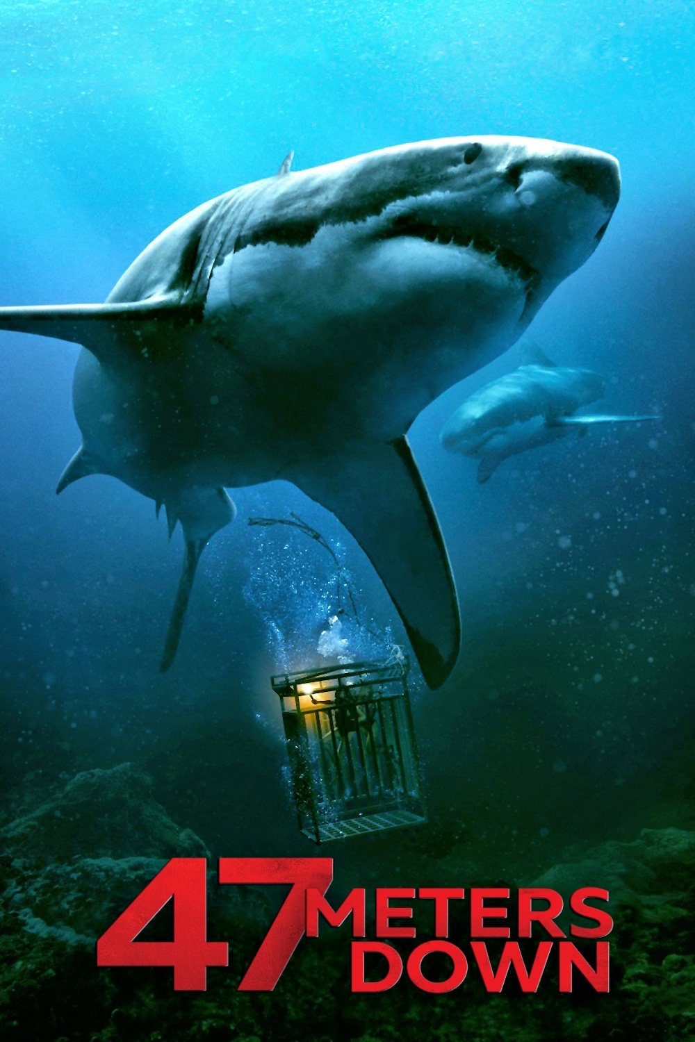 47 Meters Down 