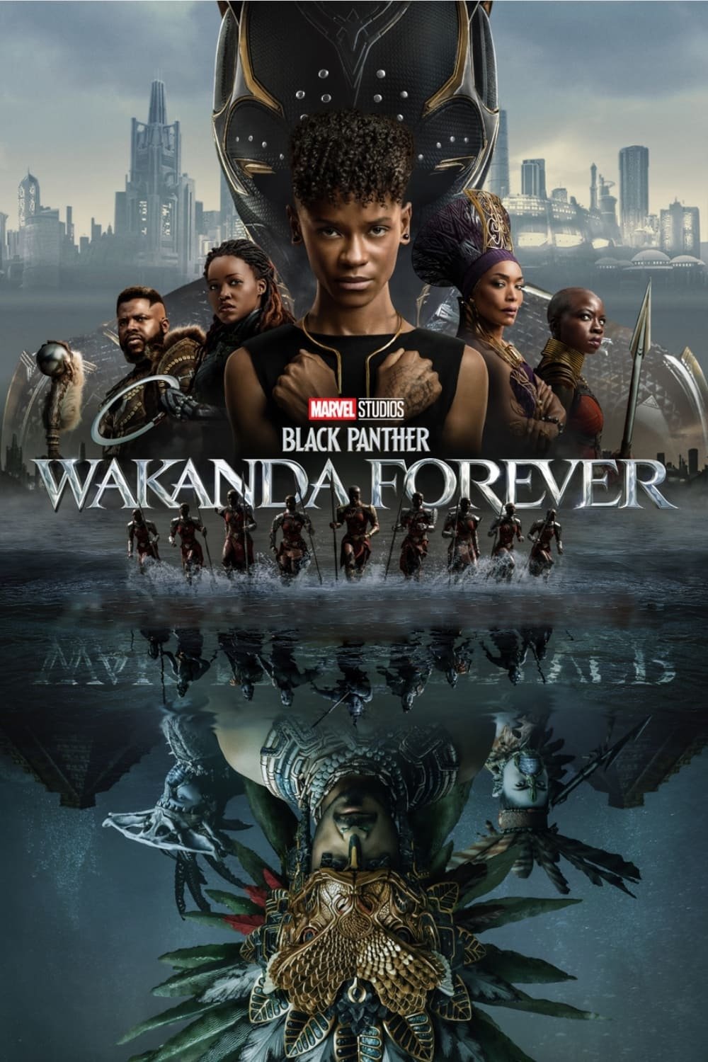  Black Panther: Wakanda Forever 