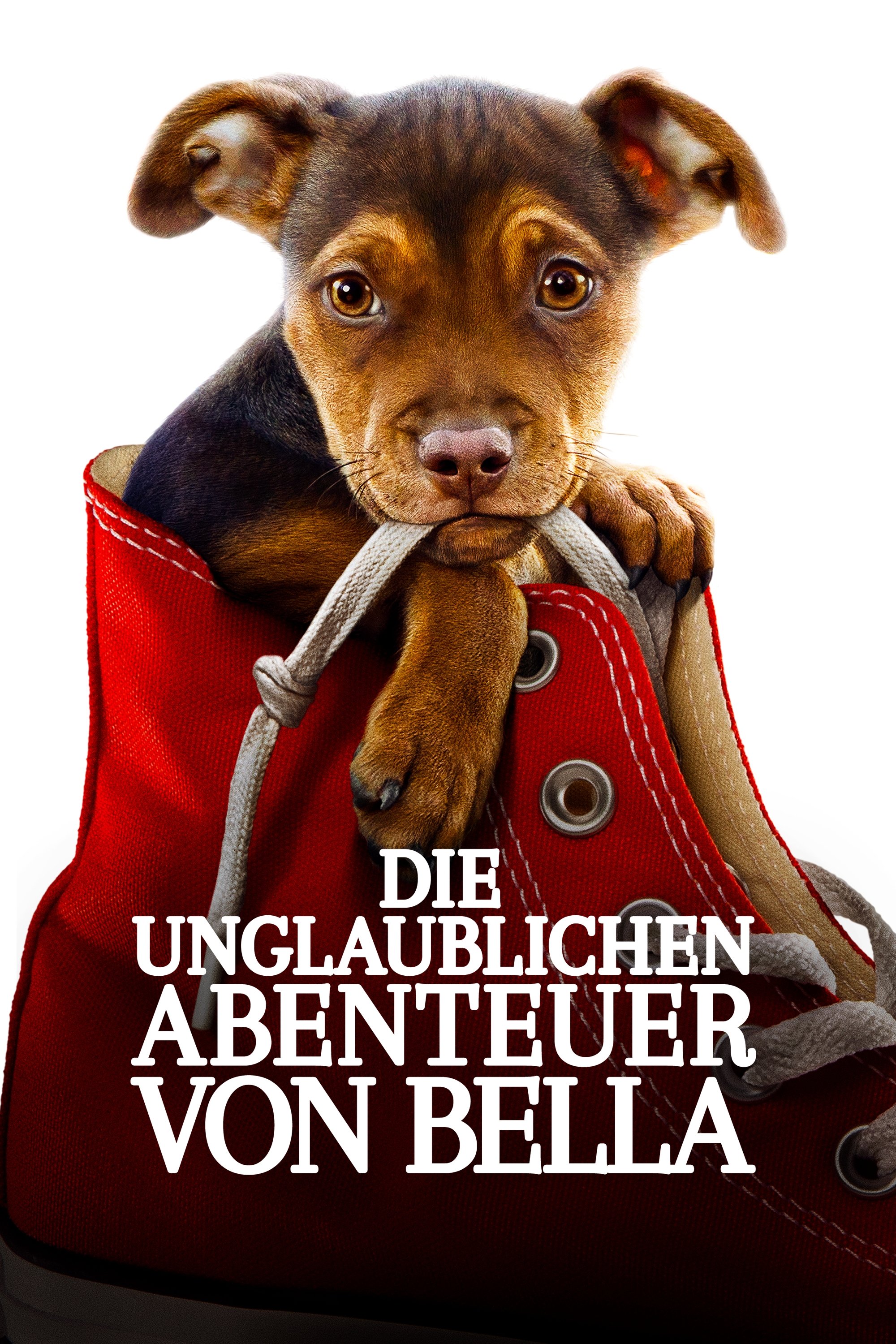  Die unglaublichen Abenteuer von Bella 