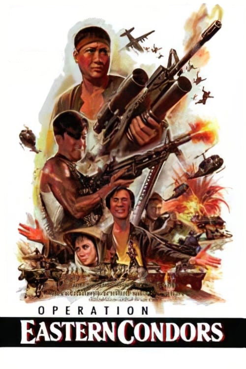  Operation Eastern Condors 