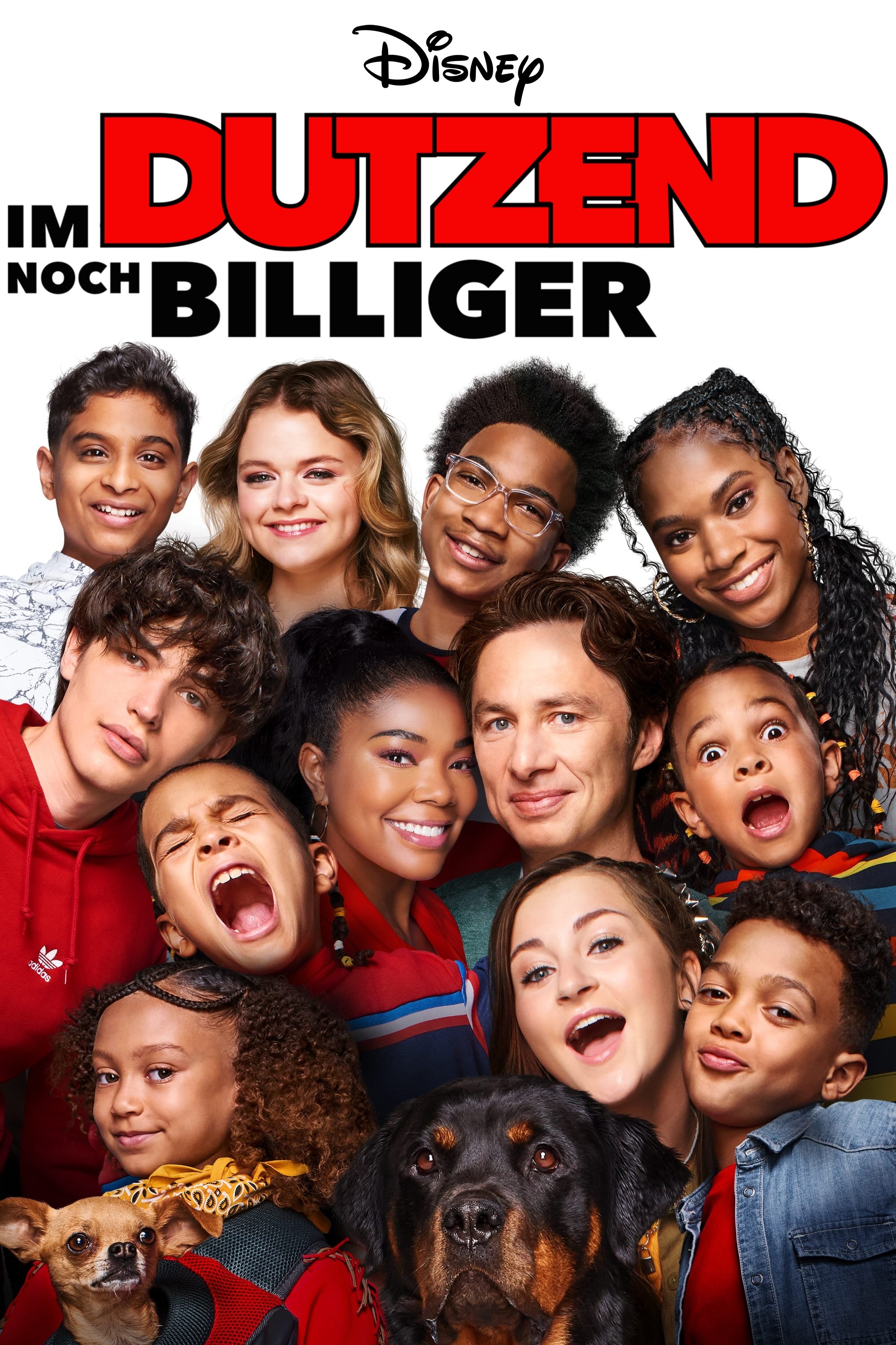  Im Dutzend noch billiger 