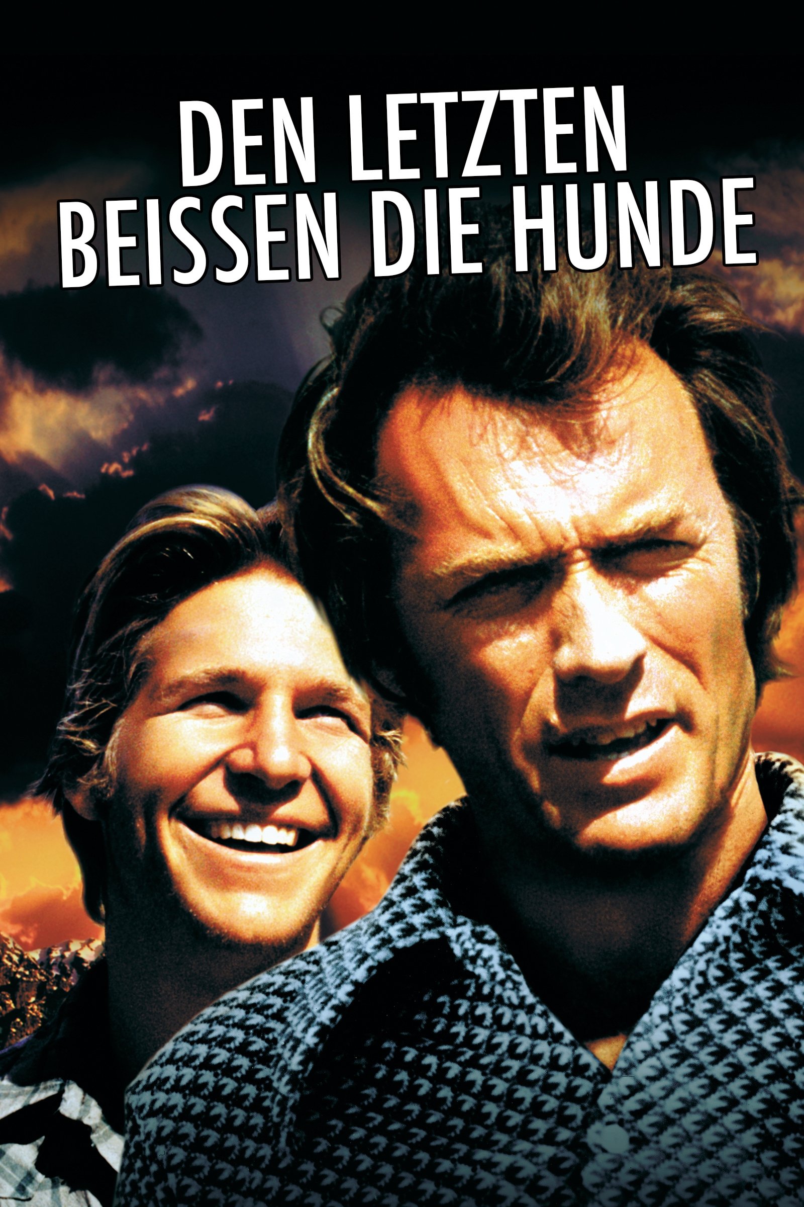 Den letzten beißen die Hunde 
