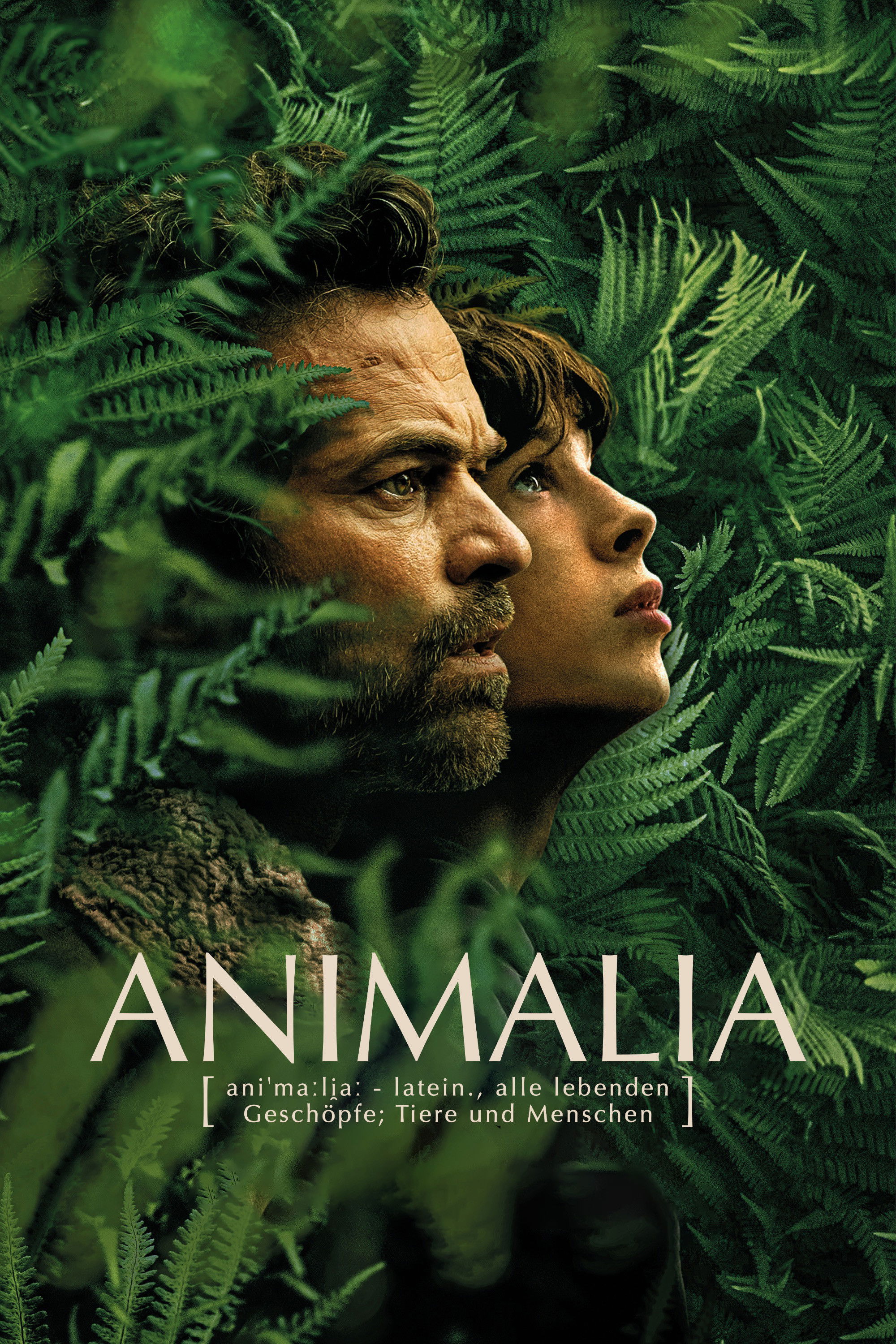  Animalia 